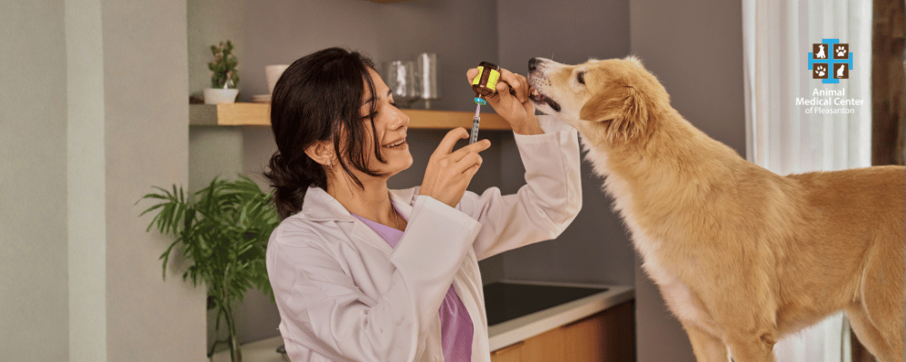 Sundays from 1 – 3pm | $24 vaccinations